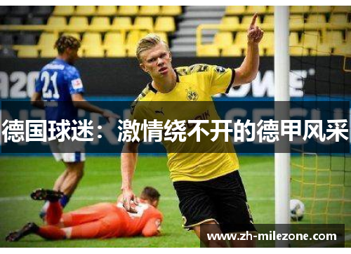 德国球迷:激情绕不开的德甲风采