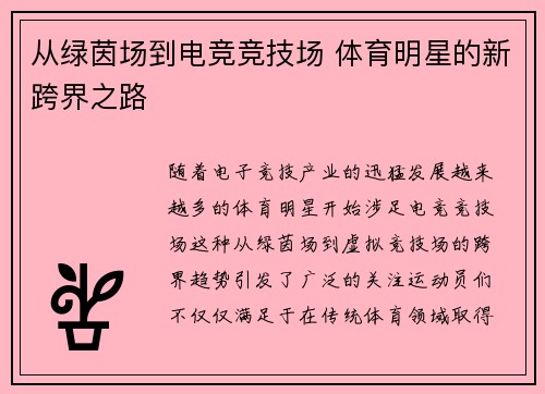 从绿茵场到电竞竞技场 体育明星的新跨界之路